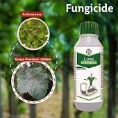Fungicides